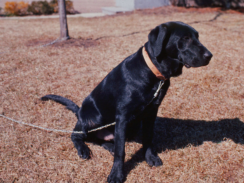 Photos 401 600 Monaghan 2008 12 09  448